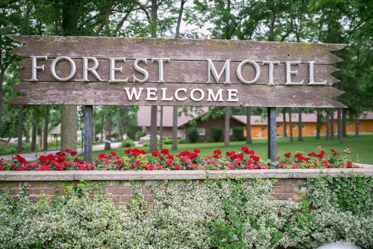 Forest Motel & Woodland Retreat Stratford Exterior photo